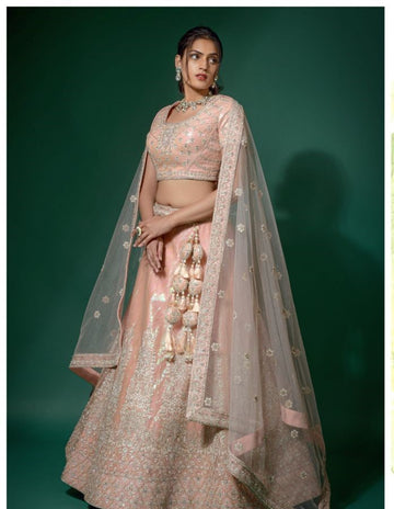 Parvati Pink Coloured Soft Net  Lehenga Choli - Rent